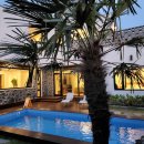 네이처러스 판포나일 이미지