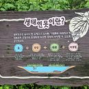 종합운동장 메타세콰이어길 이미지