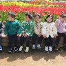 별밭어린이집 이미지