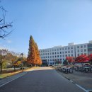 가천대학교 간호대학원 | 30년차 간호사, 간호대학원 합격 후기: 다시 공부를 시작합니다.