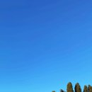 성프란치스꼬수녀원 이미지