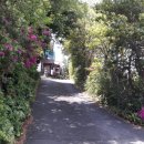 서귀포통나무집 이미지