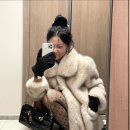 르셀리