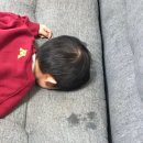 쿠버 이미지