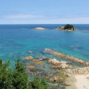 파라다이스 이미지