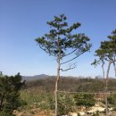 모치울 이미지
