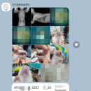 온아동물의료센터 이미지