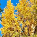 주성목장 이미지