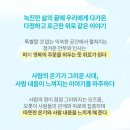 빨래방 | 뮤지컬 &lt;연남동 빙굴빙굴 빨래방&gt; 관람 후기