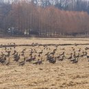 연희자연마당 공원 이미지