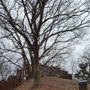 노적봉주차장입구사거리 | 안산과 시흥의 야산 ( 노적봉-광덕산-군자봉-마산-운흥산)