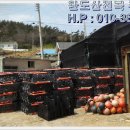 으뜸전복수산 이미지