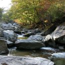 장전낚시터 이미지