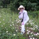 가리왕산목장 이미지