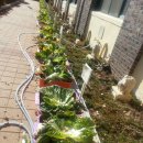 학교농장 이미지