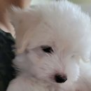 코튼빌리지 부산본점 이미지