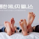 웰니스웨이브