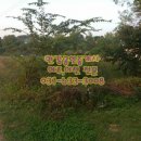 여주-1054 이미지