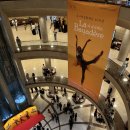 유니버설발레단 문훈숙 단장의 해설이 있는 발레 이미지