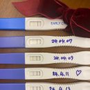 김지영산부인과의원 | [뽈록이 일대기] 송파 마리아플러스, 자연임신 후기#4