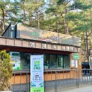 솔향수목원(전시온실) 이미지