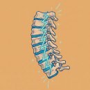 의학계열의 이해와 준비방법 | 목디스크 증상 다 적었습니다 (+완치 까지)