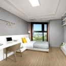 솔라고 명동 이미지