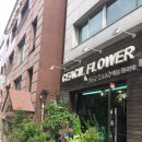 세실플라워 이미지