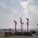 민머루해수욕장 이미지