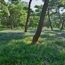 (주)황성