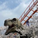 월드컵태권도 | [서울랜드] 놀이기구 후기 및 코스·먹거리 추천 (내돈내산)