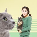 동물병원 이야기 이미지