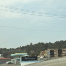 전남 | 고흥펜션 추천 신스글램핑 아이랑 가기 좋은 전남글램핑 후기