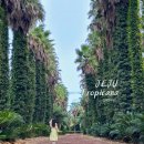 다희농장 이미지