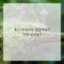 성남한의원 이미지