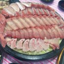 사보이모텔 | [공지] 끝, 그리고 새로운 시작🌸