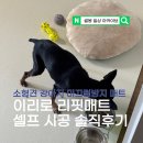 센티미터 | 강아지 논슬립 미끄럼방지매트 이리로 리핏매트 솔직후기