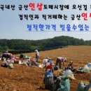 금산인삼쇼핑센터 이미지