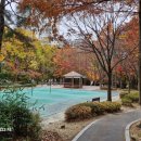 큰솔공인중개사사무소 이미지