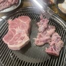 계고기집 이미지