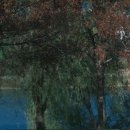 씨유 마포양화공원점 | 양화한강공원 스냅｜가을 피크닉스냅, 개인스냅 추천｜셔터중독