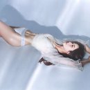 플랜제로 네이버블로그