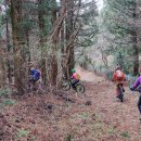 용강목장 이미지