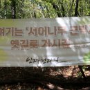 인제06-2 이미지