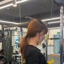 매료피티 이미지