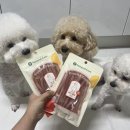 코어소프트 | 케이펫페어 코엑스에서 사온 네츄럴코어 오리울대(소프트) 내돈내산후기 8월에는 케이펫페어 송도라구!