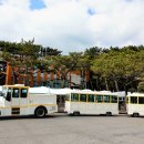 다누비 열차 이미지