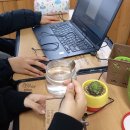 담양여자중학교 이미지