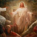 (주)폴리포니 이미지