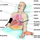 광주의상실 이미지